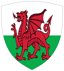 History and meaning of the red dragon. Flagge Wales Wappenformig Grosse 1