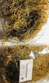 Image result for Oldenlandia cana