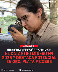 Larissa Castillo Torres nueva reina de Piñas Larissa Yamileth Castillo  Torres, quien representó a la Cooperativa de Ahorro y Crédito Marcabelí fue  elegida reina de Piñas 2024