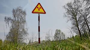 Heute leben ähnlich viele arten in dem gebiet rund um tschernobyl wie in den benachbarten unverstrahlten schutzgebieten. Tschernobyl Leben In Der Katastrophe Wissen Stuttgarter Zeitung