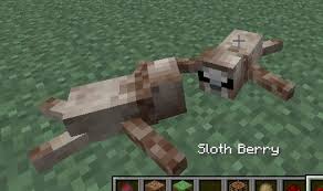 Minecraft Biomes O Plenty Seeds 1 15 2 Pin By Katherine Wallace On Minecraft Sloth Paper Crafts Mod
