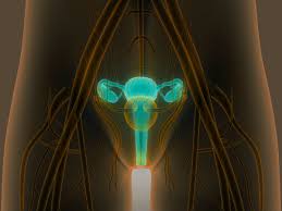 Cancer can occur in other regions of the urothelium, such as in the lining of the kidneys, ureter and urethra. Symptoms Of Bladder Cancer Every Woman Needs To Know Boldsky Com