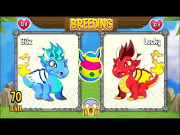 How to breed very rare dragon in dragon city for free 2019 combination very rare breeding dragon dragon city. Dragon City Cool Fire Dragon Breeding Novocom Top