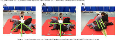 Image result for Physical Restraint