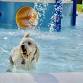 Doggy Day at Splash Zone