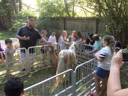 We bring our services to you, with interactive petting zoo animals for parties and pony rides to horse drawn carriage for a magical experience of a lifetime. Mobile Petting Zoo Services Firefly Fields