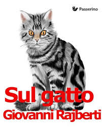 sul gatto