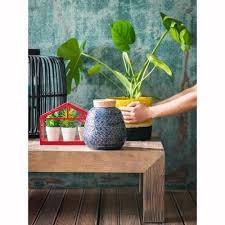 Mini Serre En Metal Rouge Et Verre Tendances Deco Maison Deco Maison Du Monde Et Tendance Deco