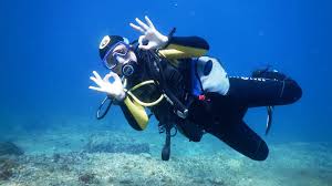 If you are in maryland, west virginia, pennsylvania, washington d.c. Diving Centre Bi Village Fazana Istria Caretta Diving