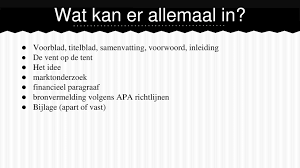 Businessplan Hanna Copini Ppt Download