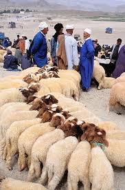 Epingle Par Messari Abdellatef Sur Morocco The Never Ending Summer Maroc Insolite Destinations Maroc Photo Maroc