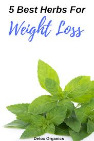 Pin On Detox Your Body
