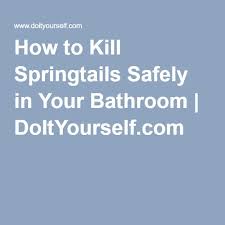 Please scroll down to read about health issues from springtails and pest control treatment. Pin On Solutions