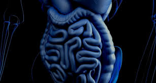 Wenn ihnen wohngeld bewilligt wird, bekommen sie es ab dem. 7 Dinge Die Sie Jetzt Uber Darmkrebs Wissen Sollten Healthcare In Europe Com