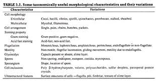 Bacterial Taxonomy Meaning Importance And Levels