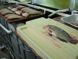 Home Tilapia Production With Diy Small Scale Aquaculture System And Greenhouse Vid 12 Youtube