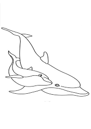 What about print and coloring this beautiful picture? Coloring Pages Cute Dolphin Coloring Pages For Kids