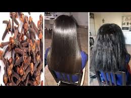 وصفة القرنفل المغربية لترطيب و تسريح الشعر مهما كان خشن و مجعد مثل السوشوار وصفة مجربة ونتا Youtube Hair Dreadlocks Beauty
