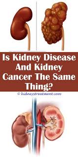 Kidney Cleanse Cranberry Kidney Disease Polycystic Kidney Disease Kidney Failure