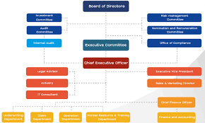 Organization Structure Pacific Cross Health Insurance Pcl