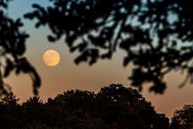 But despite the name, the moon isn't likely to take on a reddish hue like it did during the lunar eclipse earlier this year, in may. Aydmekcxezay M