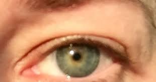 My Light Spring Eye Gray Donut With Yellowish Starburst Center Light Spring Color Me Beautiful Color Analysis