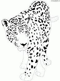 Alfabet dieren kleurplaat 74864 kleurplaat by kleurplaten.eu. Wilde Dieren Gratis Kleurplaten Dieren Coloring And Drawing