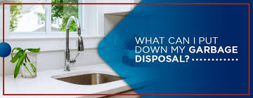 When your sink is filled with water and your garbage disposal is malfunctioning, you may want to immediately call the plumber. Garbage Disposal Do S Don Ts Garbage Disposal Faqs