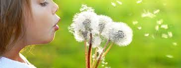 Ce inseamna sa visezi binecuvanta(a). Ce InseamnÄ Cand Visezi Copil Mic Zenivers Ro