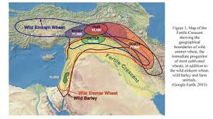 Listen to any page in audio. The Vanishing Wheat Landraces Of The Fertile Crescent Document Gale Academic Onefile