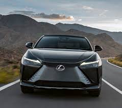 Image result for Black Onyx 2024 RZ