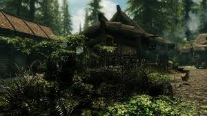 pin on skyrim