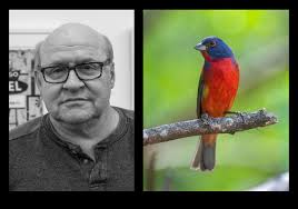 Today I saw the news that the great Tony Fitzpatrick has passed at the age  of 66. Very sad. A passionate artist. #tonyfitzpatrick #diptych  #paintedbunting