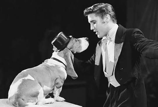 On this day in 1956, Elvis made an appearance on The Steve Allen ...