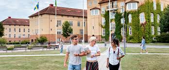 Hos oss får du och din hund tillgång till ett bra och brett utbud av hundkurser och tävlingar. Kristianstad University Sweden International Website English Hkr Se