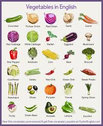 A vegetable is the edible part of a plant that is used in cooking or they are different from fruit in that vegetables don't have seeds. Vegetable Vocabulary