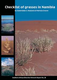 Image result for Eragrostis sclerantha