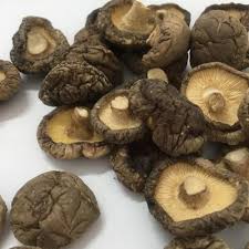 Maybe you would like to learn more about one of these? Yanzhifang Jamur Kering Harga Per Kg Buy Jamur Kering Shiitake Harga Per Kg Jamur Shiitake Mushroom Jamur Shiitake Product On Alibaba Com