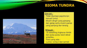 Gambar flora dan fauna bioma tundra. Flora Dan Fauna Dunia Ppt Download