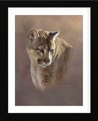 Watchful Eyes Framed In 2020 Wildlife Artists Art Prints Lion Painting