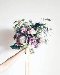Maybe you would like to learn more about one of these? Pin On Plants Blooms