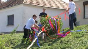 Kassa | szokatlan meglepetéssel rukkolt elő május elsejére virradóra az a kassai magyar fiatalember, aki többméteres májusfát vonszolt fel barátnője ötödik emeleti lakásába. Majusfa Allitas 2008 Agfalva Youtube