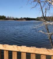 View amenities, descriptions, reviews, photos, itineraries, and directions on traillink. The Northwest Corner Of The Vicki Barron Lakeside Trail At The Island Lake Conservation Area Picture Of Island Lake Conservation Area Orangeville Tripadvisor