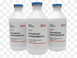 Asia food and beverage (malaysia) sdn bhd. Biofertilizer Phytogold Sdn Bhd Universiti Putra Malaysia Agriculture Microorganism Torto Food Industries M Sdn Bhd University Plastic Bottle Agriculture Png Pngwing