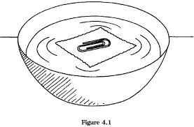 Floating Paper Clip Science Project Education Com Science Projects Education Com Paper Clip