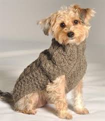 Chilly Dog Sweaters Are The Warmest Dog Sweaters Out There Don T Let Your Dog Be Left Out In The Cold Dog Sweater Pattern Knit Dog Sweater Small Dog Sweaters
