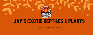 Maybe you would like to learn more about one of these? Jay S Exotic Reptiles Plants Home Facebook