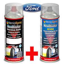 Automotive Touch Up Kit Spray Ford Ka