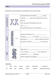 Which of the human chromosomes are metacentric? C H R O M O S O M E W O R K S H E E T A N S W E R S Zonealarm Results