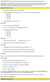 Dna replication & protein synthesis virtual lab sheet part 1 dna replication: Proteins Synthesis Activity Worksheets Teachers Pay Teachers